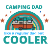 CAMPING DAD