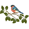 Oiseau