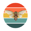 Cicada of funny insect lover