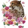 Guépard
