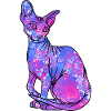 Sphynx Cat Hairless Galaxy Kitty