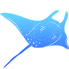 Stingray