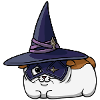 Fat Cat Blackmage (FFXIV/FF14)