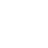 Lion blanc dans l'ombre
