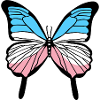 Trans Pride Butterfly Transgender Pride