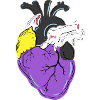 Nonbinary Pride Heart Nonbinary Pride