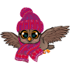 Frost Owl Frostbite Autumn Winter