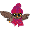 Frosteule Eule Frostbeule Herbst Winter