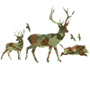 Je peux pas j'ai chasse humour chasseur cerf