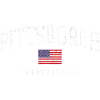 Pittsburgh Arc with Flag