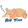 Bär - Nap Time