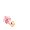 Fleur Vine Petite Sœur