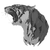 tiger head