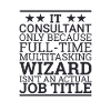 "IT-Consultant Wizard | IT Consultant"