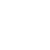 Funny Skull Gnom