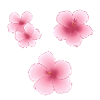 Pink hibiscus hawaiian flowers pack