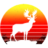 CERF SANS NOM