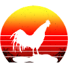 Rooster lmp