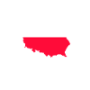 Polsk Polen polske flag gave