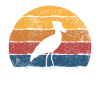 Schuhschnabel Vogel