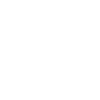 Holstein Rancher Holstein Cow