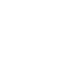 Holstein Rancher Holstein Cow