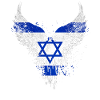 Israel Flag