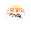 Ant