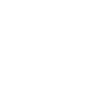 Evolution Pet Cat