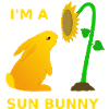 sun cottentail / Sun bunnies