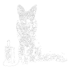 Musik hörender Fuchs