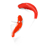 Koi