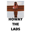 Newcastle United NUFC Takeover Saudi Angel of The