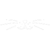 Maman chat