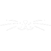 Papa chat
