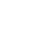 13 Symbole numérique