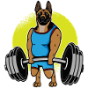Belga Malinois Sollevamento Pesi I Deadlift Fitness