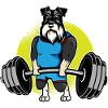 Miniature Schnauzer Weightlifting I Deadlift