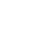 Camino frances