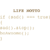 Developer IT Life Motto