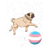 Mops im Weltraum Trans Pride