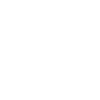 Violoniste Violon Koala avec Violon