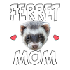 Ferret Mom