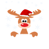 REINDEER RENTIER