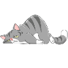 CHAT M ÉPUISE