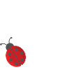 Mama Bug