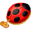 Coccinelle automate