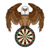 Hibou aux fléchettes avec fléchettes