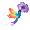 La vie d’un colibri