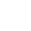 OBEY